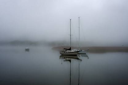 12X18 NATURE NON TEARABLE GLOSSY FINISH POSTER Photographic Paper