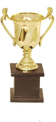 HOMESHOPEEZ Trophy For Award Trophy