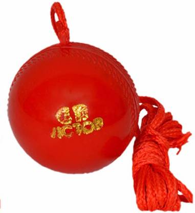 VICTOR hanging ball Cricket Training Ball