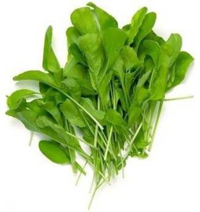 AllThatGrows Spinach Microgreens Seeds - Pack of 100 gms Seed
