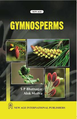 Gymnosperms