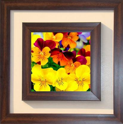 The Craft Company Lila Paintings Canvas 18 inch x 18 inch Painting