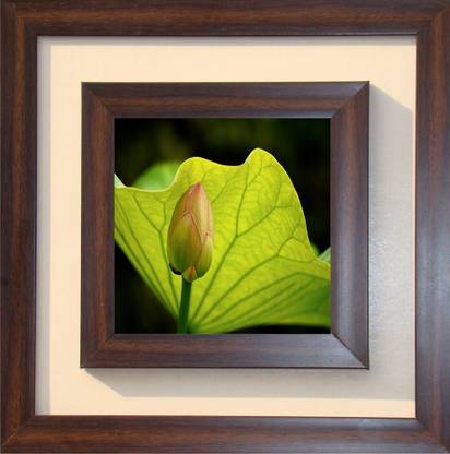 The Craft Company Lila Paintings Canvas 15 inch x 15 inch Painting