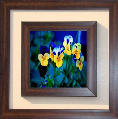 The Craft Company Lila Paintings Canvas 15 inch x 15 inch Painting