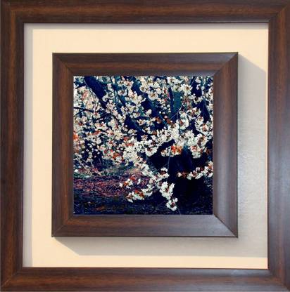 The Craft Company Lila Paintings Canvas 12 inch x 12 inch Painting