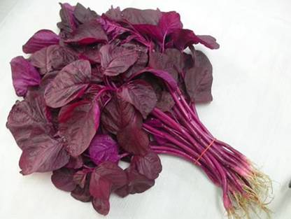 Trothic Gardens Red Spinach-Amaranthus-Laal Saag-Red Cheera Seeds Seed