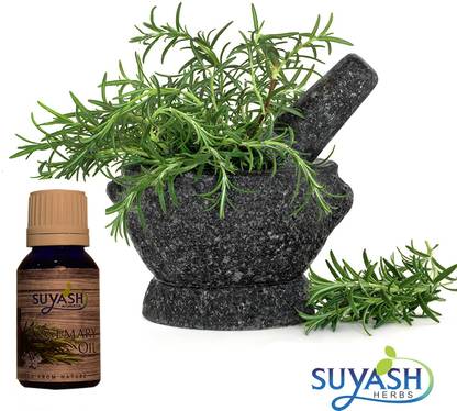 Suyash Ayurveda Rosmery Oil 100% Pure