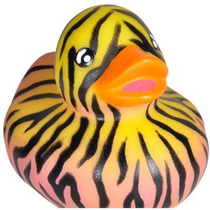 DollarItemDirect 2" RAINBOW ZEBRA PRINT RUBBER DUCKIES Case of 576 Bath Toy
