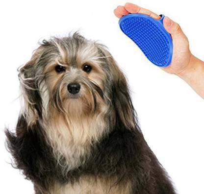 Sage Square 2 in 1 Adjustable Dog Brush/Pet Comb for Grooming Cum Massager & Safety for Pets from Mites/Lice/Ticks for Dog/Puppy/Kitten/Cat (Blue) Curry Comb for  Dog & Cat