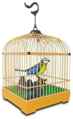 Alpyog Sound Activated Musical Heartful Sparrow For Children(Min. Age 3yrs)