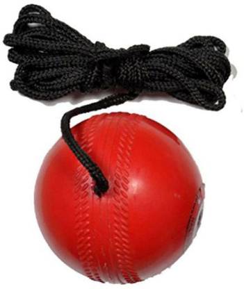 DIXON Practice PVC Rubber Hanging Ball (Pack of 1) Cricket Training Ball