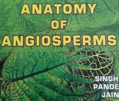 ANATOMY OF ANGIOSPERMS