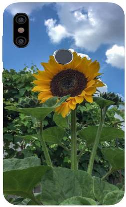 Soure Back Cover for 10.or G2 / Tenor or G2