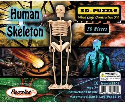 Puzzled Human Skeleton 3D Jigsaw Puzzle 50Piece 3 x 4 x 15