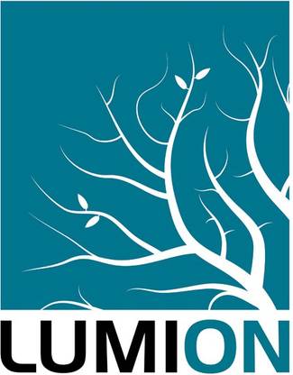 Lumion Pro 9.5