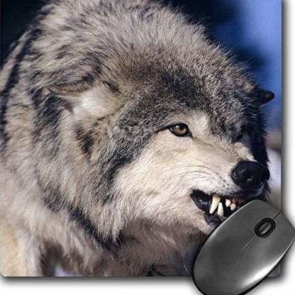 3dRose Snarling Gray or Timber Wolf Howie Garber Mouse Pad mp Non Slip Base Dual Sided Mousepad