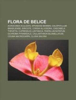 Flora de Belice