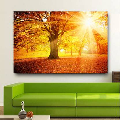 A Beautiful Lights Sunshine Coming in Forest HD Wallpaper No Framed Canvas Art