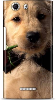 Flipkart SmartBuy Back Cover for Micromax Canvas Nitro 2 E311