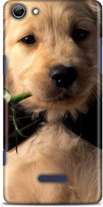 Flipkart SmartBuy Back Cover for Micromax Canvas Selfie 3 Q348