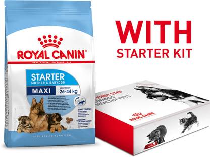 Royal Canin Maxi Starter With Starter Kit Offer 4 kg (2x2 kg) Dry Young Dog Food