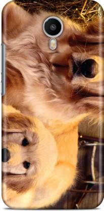 Flipkart SmartBuy Back Cover for Meizu M3 Note