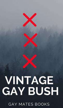 Vintage Gay Books