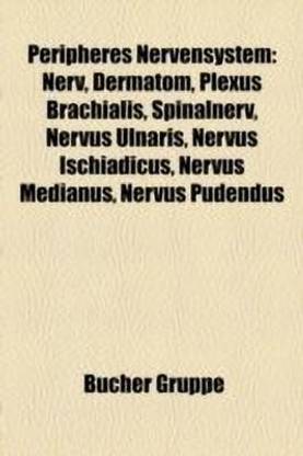 Peripheres Nervensystem