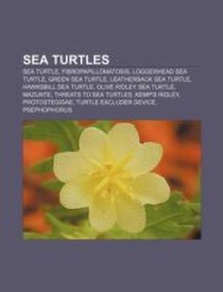 Sea Turtles
