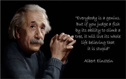 Albert Einstein Motivational Quotes Poster M16 Paper Print
