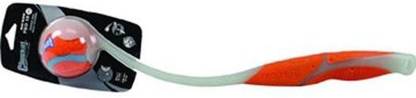 Chuck It Rubber Fetch Toy For Dog