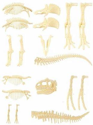 Gaiatop Dinosaur Skeleton, 2Pcs 4D Dinosaur Fossil Skeleton Toys Diy For Kids Fossil Skeleton Figure