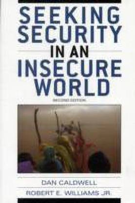 Seeking Security in an Insecure World