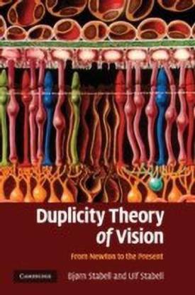 Duplicity Theory of Vision