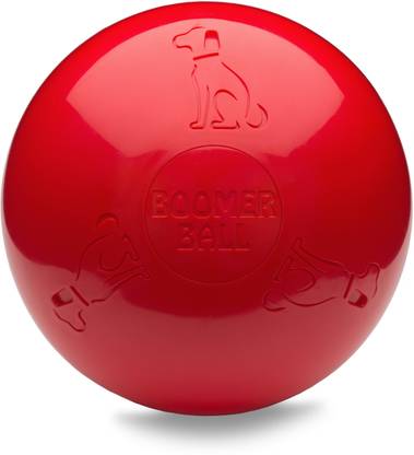 Boomer Plastic Tough Toy For Dog