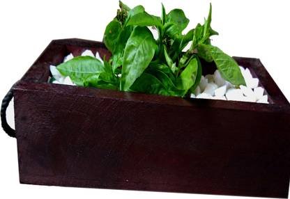 Comfort planters Plant Container Set