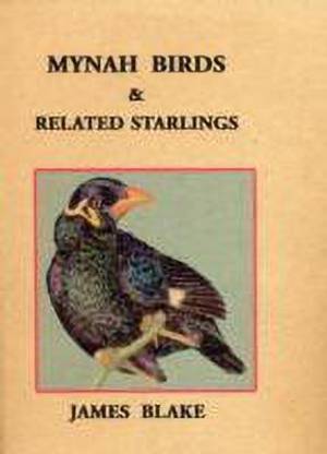 Mynah Birds
