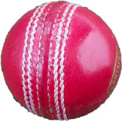 GRAVITY TOURNAMENT Cricket Leather Ball