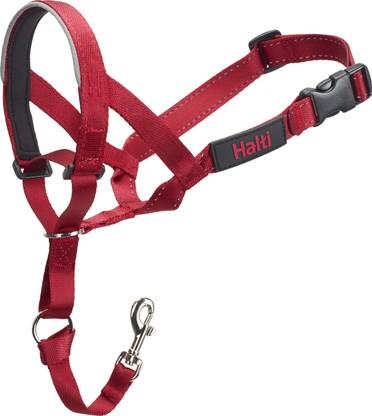 HALTI Dog Leash