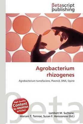 Agrobacterium Rhizogenes