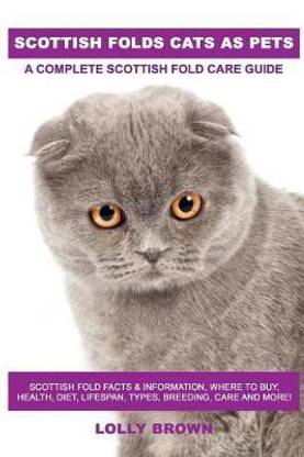 Scottish Folds Cats as Pets