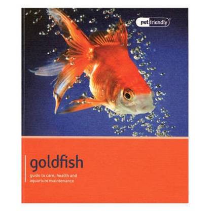 Goldfish - Pet Friendly