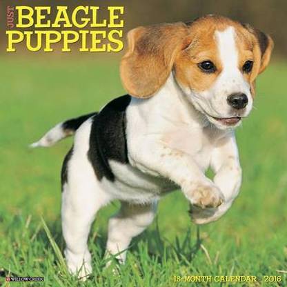 Beagle Puppies Calendar