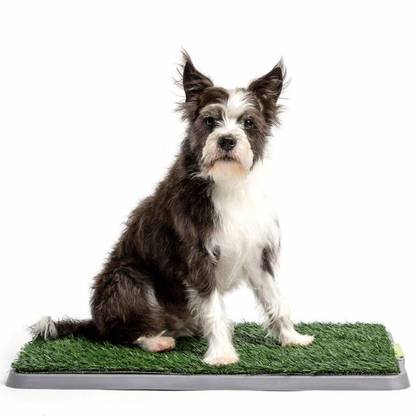 Maxigo Dog Grass Pee Pad Potty Artificial Grass Patch for Dogs Pet Litter Box Training Pads Best for Puppy Indoor Turf Fresh Fake Porch Lawn Toilet Mat Bathroom Tray Doggie Trainer Balcony Patio Mats Potty Toilet Trainer Mat Dog Pet Mat