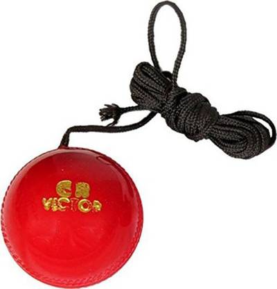 VICTOR Hanging & Knocking Cricket Training Ball