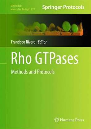 Rho Gtpases