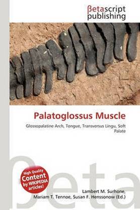Palatoglossus Muscle