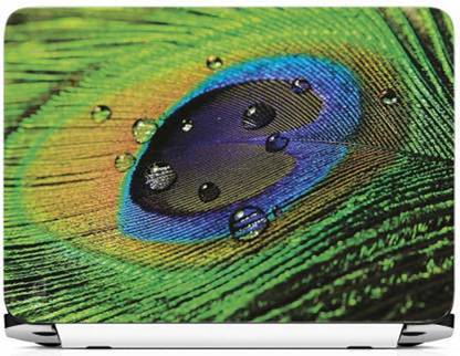 WALL STICKS WS1114 PVC Laptop Skin Compatible for 15.6 inch