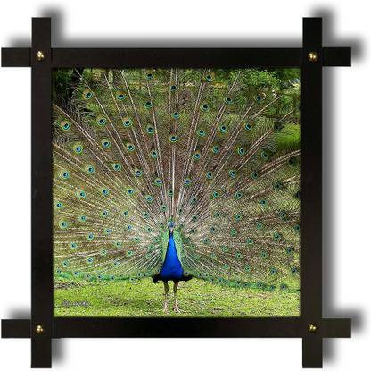 Poster N Frames Cross Wooden Frame Hand-Crafted with photo of Peacock Digital Reprint 16.5 inch x 16.5 inch Painting