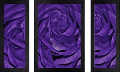 Craftsfest Set of 3 Flower Single Colour Modern Wall art Framed Paintings Digital Reprint 13.5 inch x 19.5 inch Painting